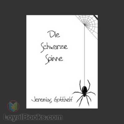 Die schwarze Spinne