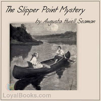 The Slipper Point Mystery