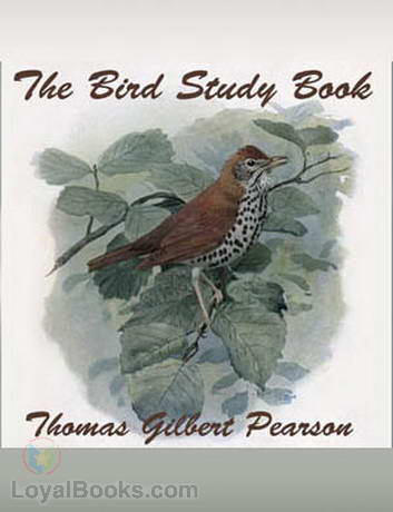 The Bird Study Book