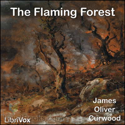 The Flaming Forest