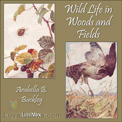 Wild Life in Woods and Fields